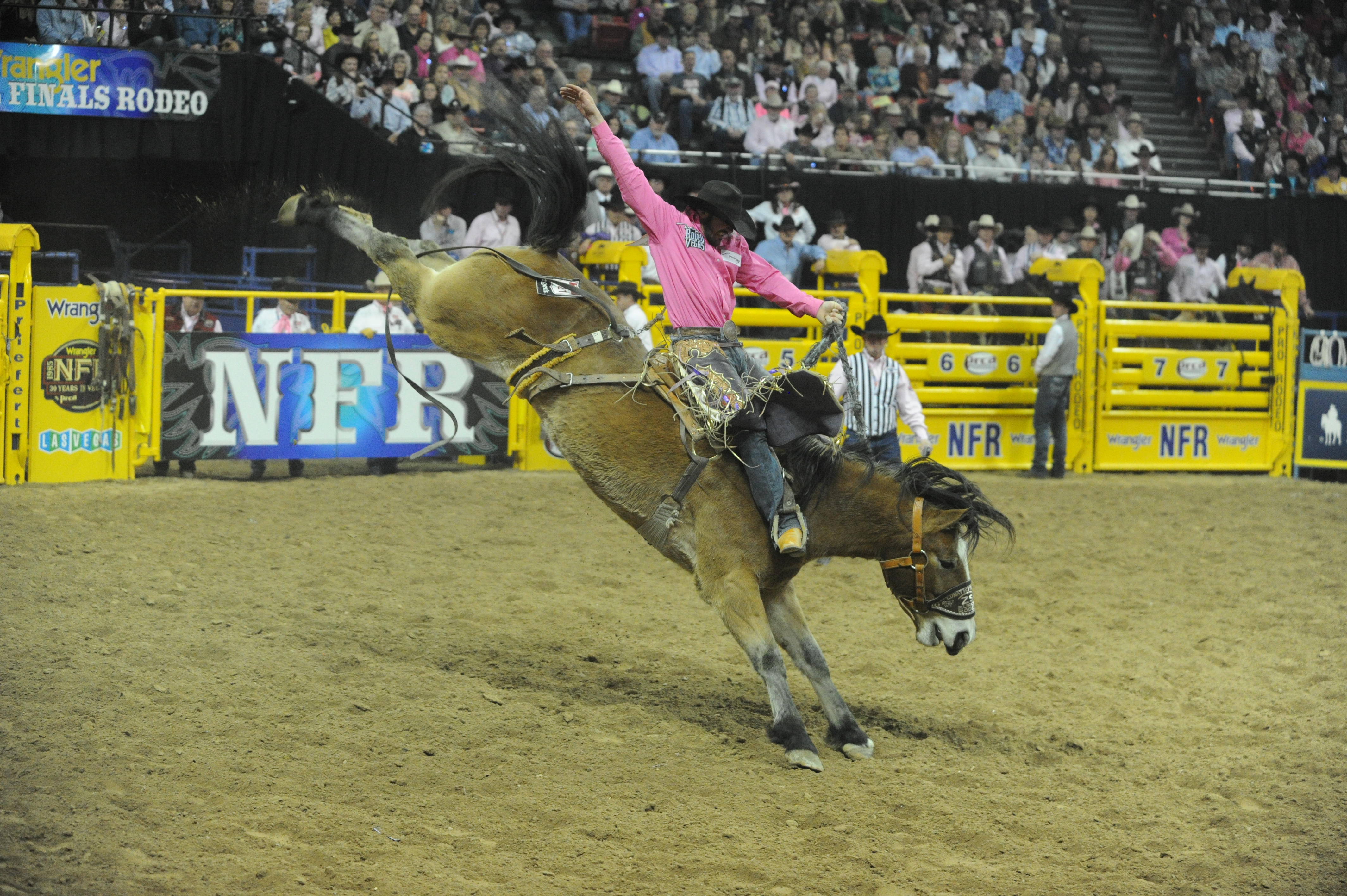Enter to Win Tickets to the Wrangler NFR! – Purple Cowboy Wines: Tenacious  Red, Trail Boss Cabernet