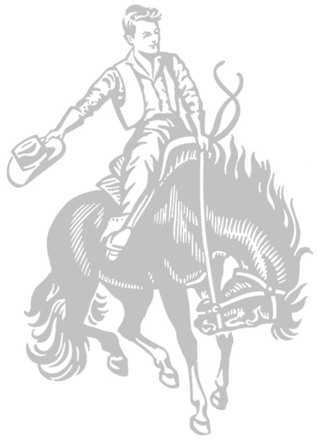 Purple Cowboy on Horse Image