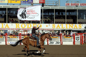 Greetings from the California Rodeo!